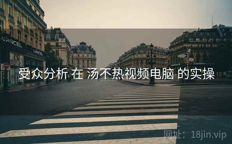 受众分析 在 汤不热视频电脑 的实操