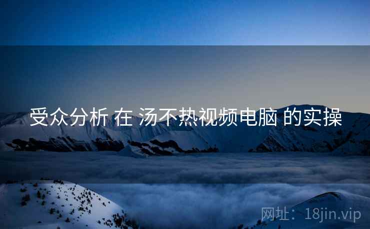 受众分析 在 汤不热视频电脑 的实操