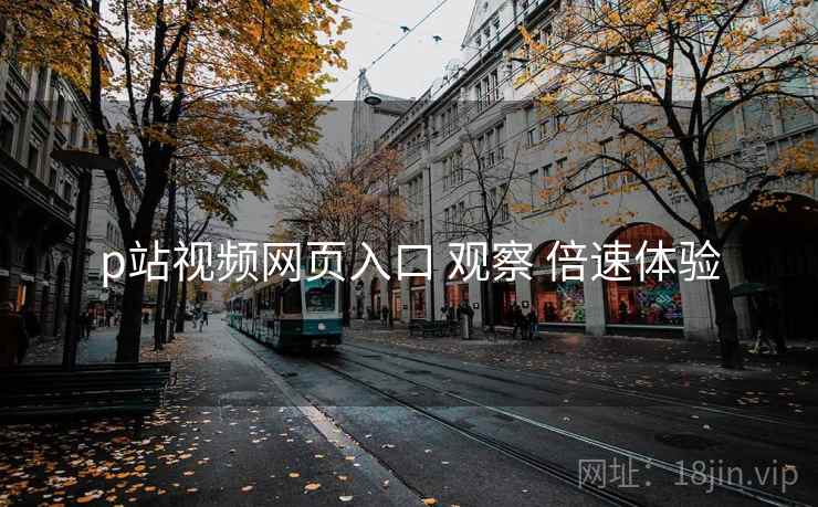p站视频网页入口 观察 倍速体验