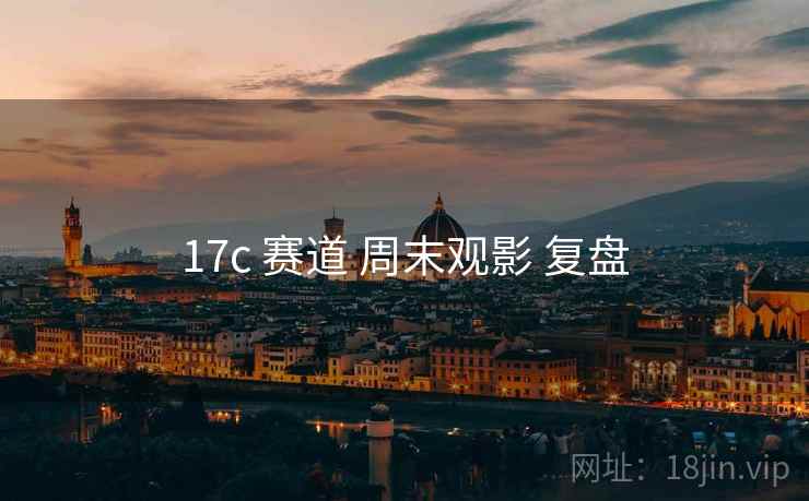 17c 赛道 周末观影 复盘