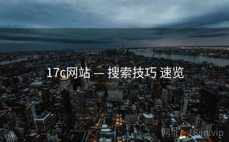 17c网站 — 搜索技巧 速览