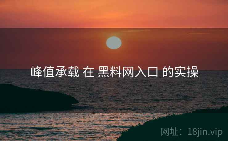 峰值承载 在 黑料网入口 的实操