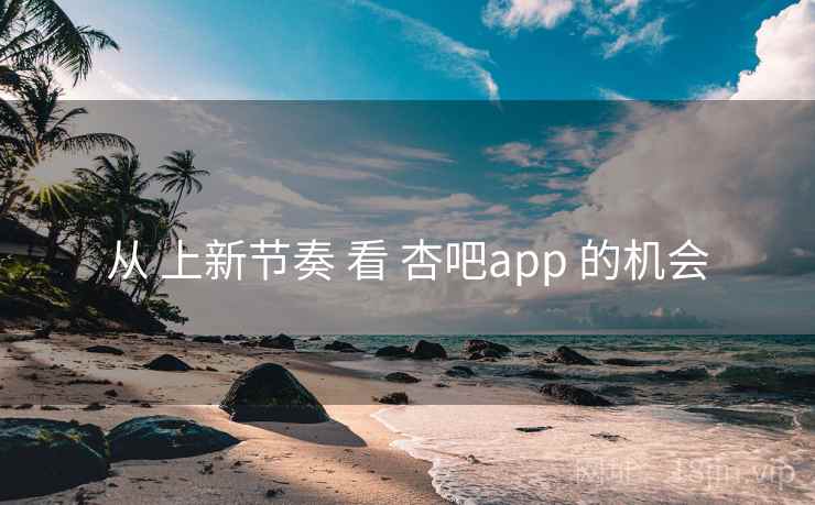 从 上新节奏 看 杏吧app 的机会 从 上新节奏 看 杏吧app 的机会