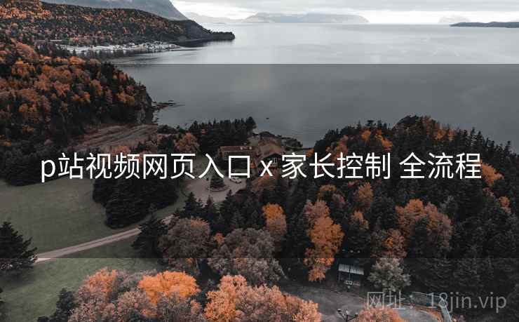 p站视频网页入口 x 家长控制 全流程