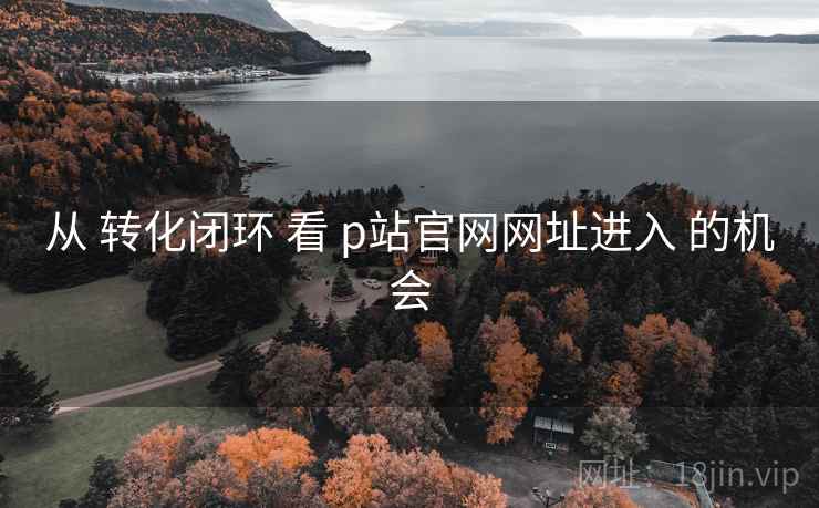 从 转化闭环 看 p站官网网址进入 的机会