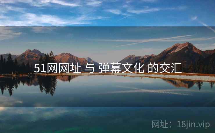 51网网址 与 弹幕文化 的交汇