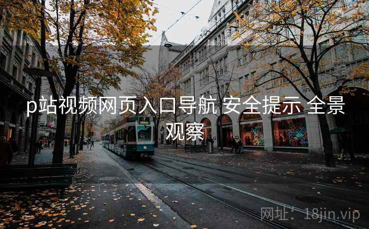p站视频网页入口导航 安全提示 全景观察